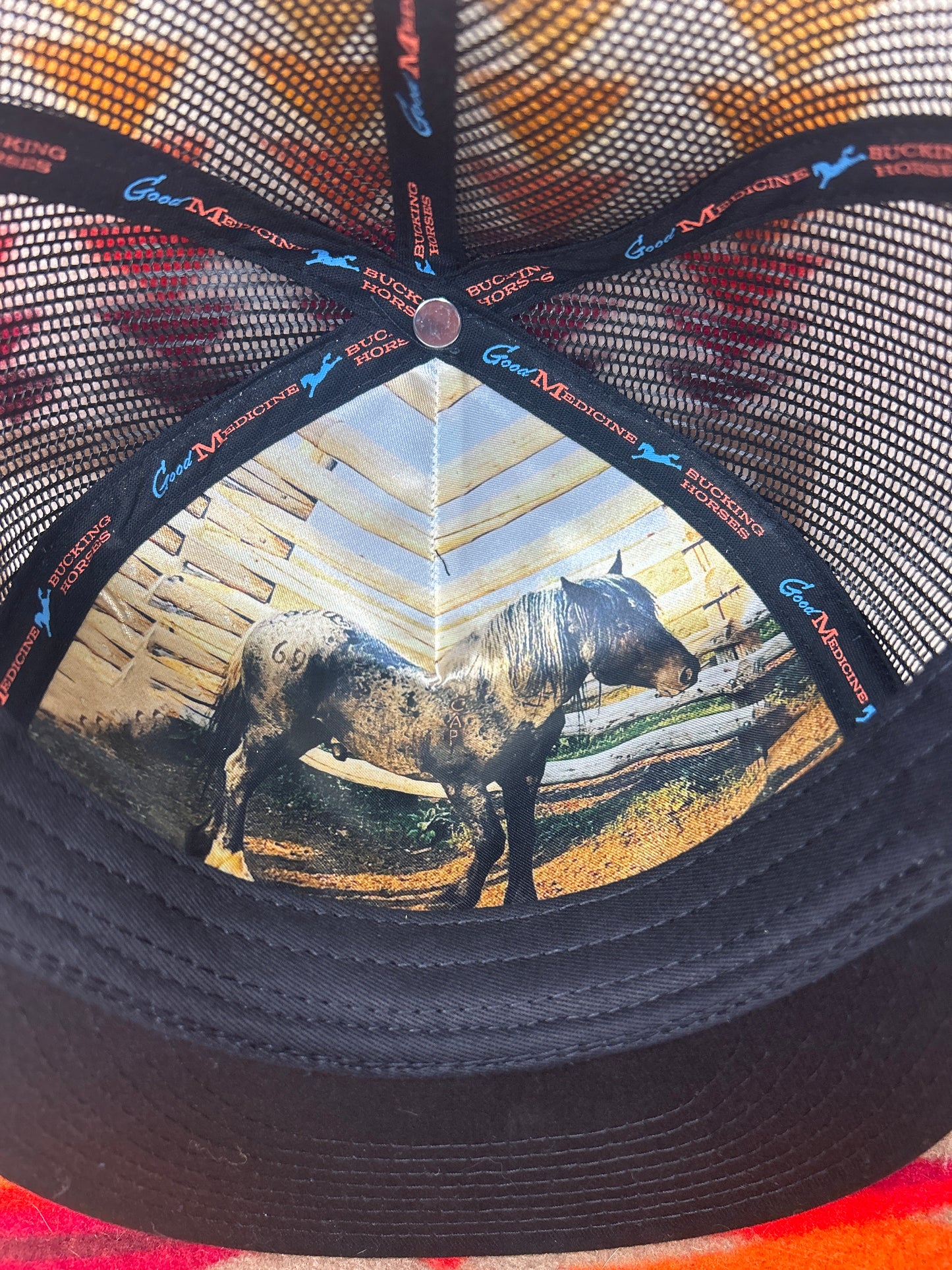 Good Medicine Bucking Horses War Horse SnapBack