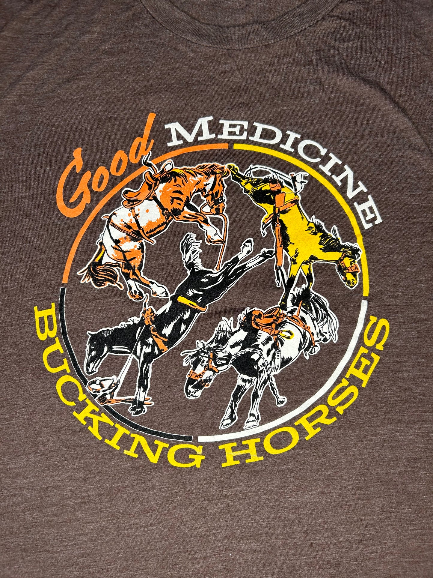 Medicine Horse